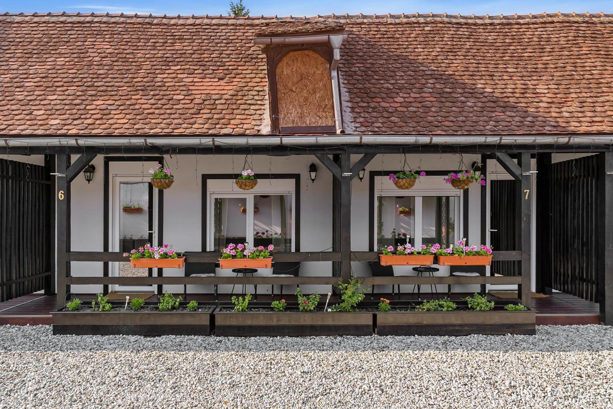 Pensiunea Alina "Adults Only" Nagyszeben Kültér fotó